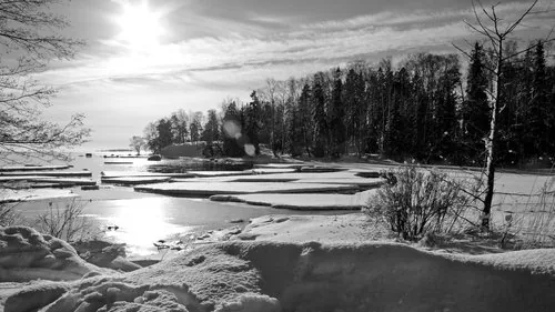 Winter Shoreline