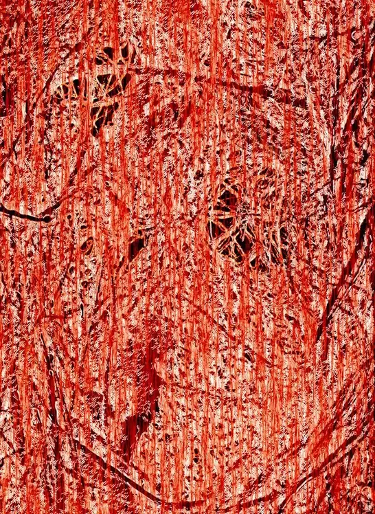 Nest