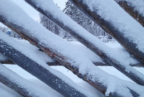 Arctic Fence