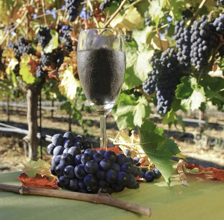Vineyard wine glass — EarthCare premium agricultural end market